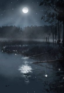 Вы когда-нибудь задумывались, что озеро может быть источником мистики, о том,что оно может, как убивать, так и создавать, что-то новое и ужасное. Вот и герой никогда... Озеро ночи