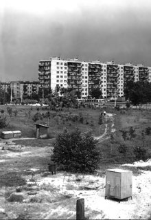 Переводяга