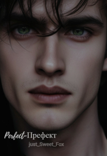 Perfect-Префект