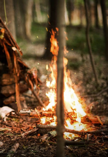 "первый Вирус"
