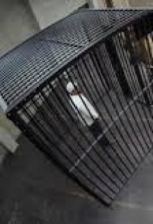 Побег из Шоушенко