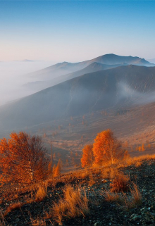 Почему я не стал ювелиром