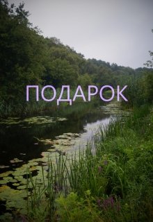 Подарок