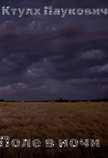 Поле в ночи