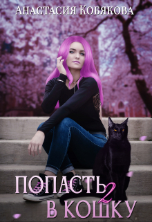 Попасть в кошку 2