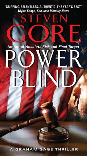 Power Blind