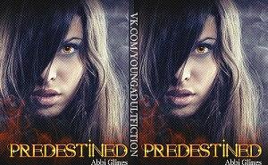 Предопределенность