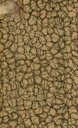 Прикладная тактика. Выпуск 1