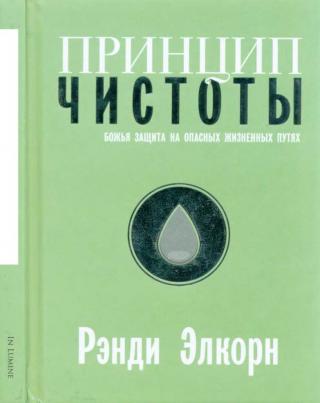 Принцип чистоты