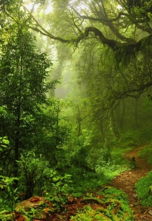 Пробуждение