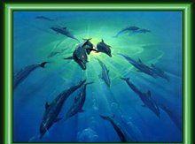 Процент соответствия