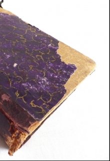 Прочь из рощи