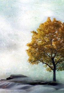 Выбор сделан, маршрут проложен, осталось только дойти до конца. И нет сомнения в твоем сердце, что это правильное решение. И, кажется, ничто не заставит тебя с этого... Проклятый