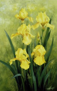 Прости меня!