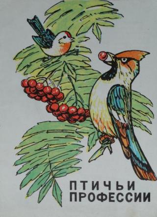 Птичьи профессии