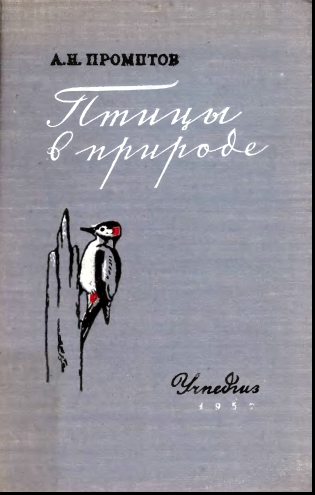 Птицы в природе