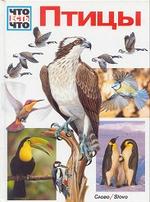 Птицы