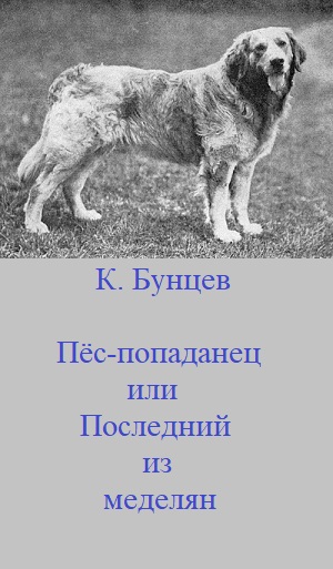 Пёс-попаданец, или Последний из меделян