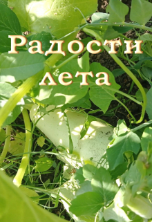Радости лета