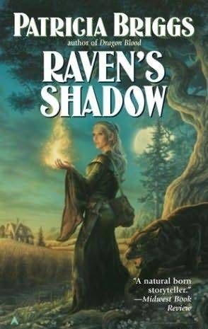 Raven's Shadow