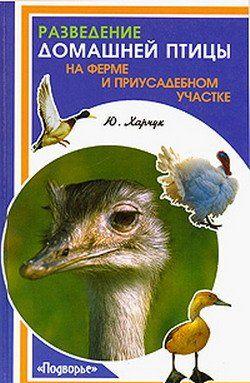 Разведение домашней птицы на ферме и приусадебном участке