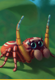 Редкие виды