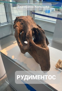 Рудиментос