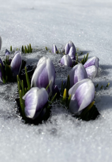 Русский романс