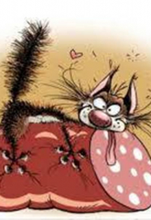 Салями, сэр!