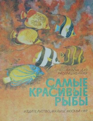 Самые красивые рыбы