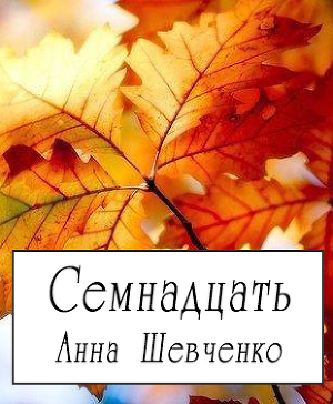 Семнадцать(СИ)