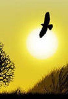 Серое небо асфальта