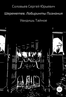 Шереметев лабиринты познания