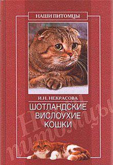 Шотландские вислоухие кошки