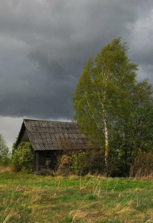 Случай в деревне