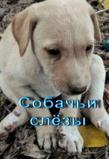 Собачьи слёзы