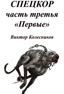 Спецкор 3 «первые»