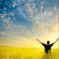 Справочник для просветленных