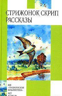 Стрижонок Скрип