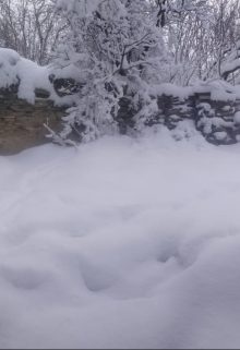 Студенческая байка.