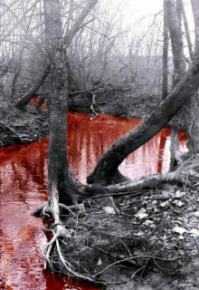 Там, за рекой