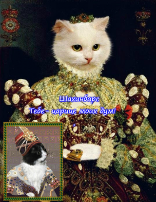 Тебе- царице моих дум!