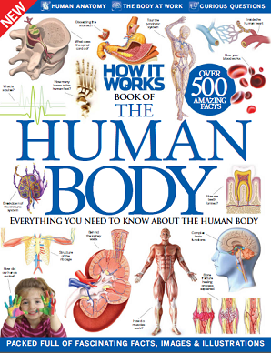 The Human Body