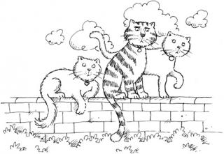 The Killer Cat Strikes Back