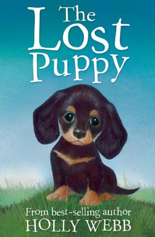 The Lost Puppy