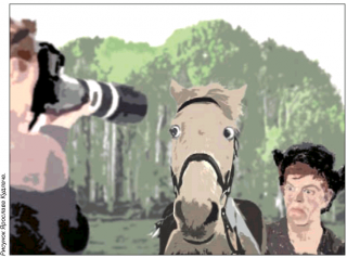 Типичный представитель