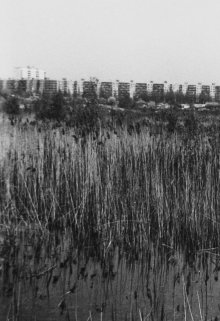 Точка сборки.