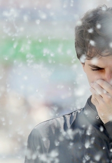 Тополиный пух