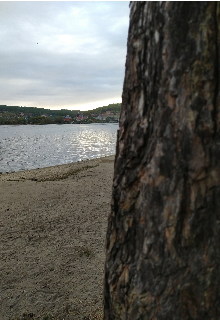 Туманная кукла