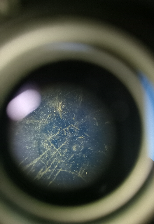 Твоё любимое блюдо